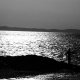 Pescador